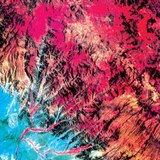 Satellite image of the Andes