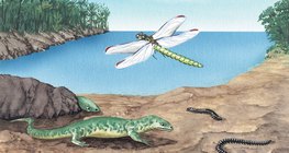 Flora y fauna en el período Carbonífero