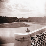 Schönbrunn Sarayı'nın bahçesi