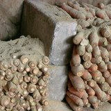 Хранение корнеплодов