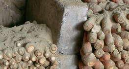 Almacenamiento de verduras de raíz