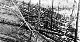 Последствия взрыва Тунгусского метеорита в 1908 г.