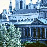 Vienna City Hall
