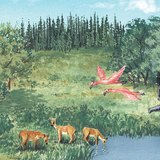 Life in the Miocene