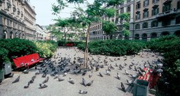 Голуби на городской площади