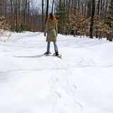 Снегоступы