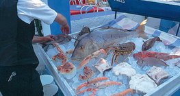 En Grecia, se recomienda probar los mariscos