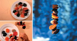 Elaboración de alimentos para aves durante el invierno