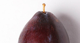 Prugna