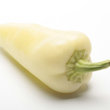 Pepper