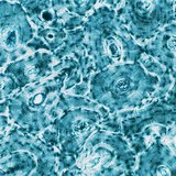 Bone tissue