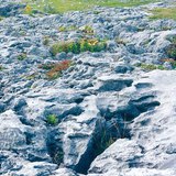 Известняковая поверхность