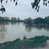 High tide at the Danube