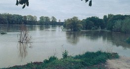 Колебания уровня воды в реке Дунай – 1