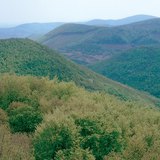 Тектонические горы