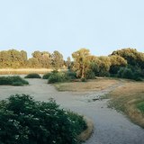Колебания уровня воды в реке Дунай – 2