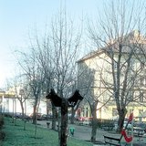 Туалет для собак
