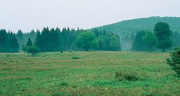 Плато в горном массиве Бюкк, Венгрия