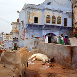 La vita in India