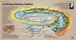 Формирование и развитие живого мира