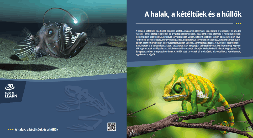 Fish, Amphibians and Reptiles Digital lesson Mozaik Digital Education and Learning