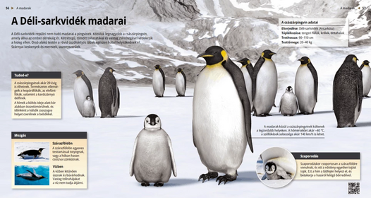 Мас брюнетка порно видео