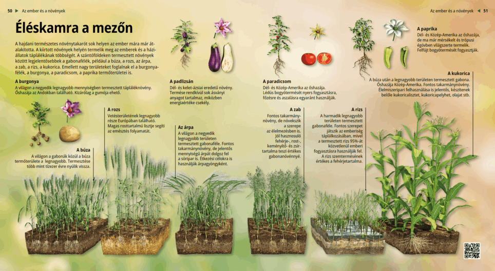 Nature’s Pantry Digital lesson Mozaik Digital Education and Learning