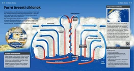 Тропические циклоны