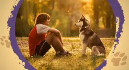 Can we understand the language of animals?