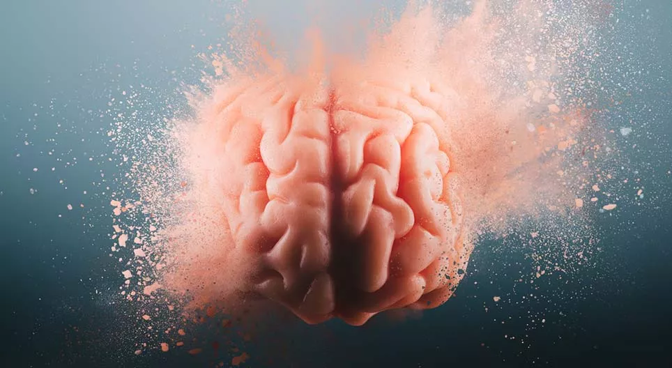 10 things to know about the human brain