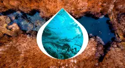 تطور البحيرات