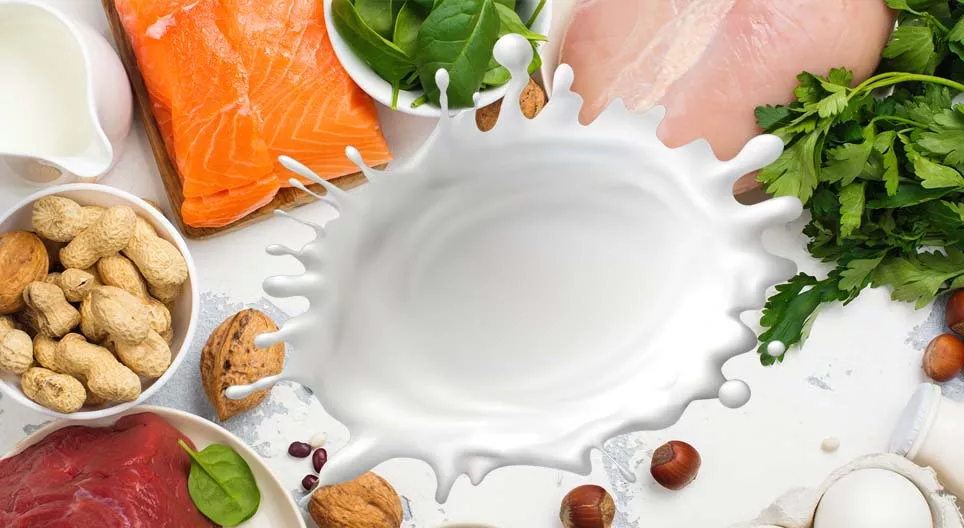 Proteins, the 'building blocks' of the human body Digital lesson