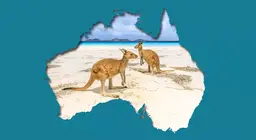 المشكلات البيئية في أرض الكنغر