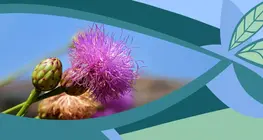 La flor