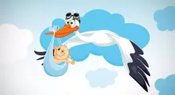 Действительно ли детей приносит аист?
