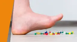 消失的感官