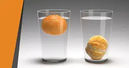 漂浮的橙子