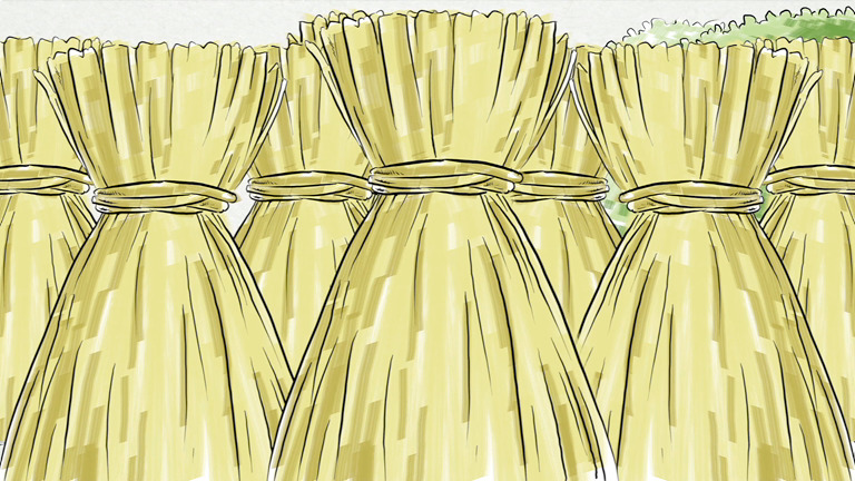 The threefield system video Mozaik Digital Education and Learning