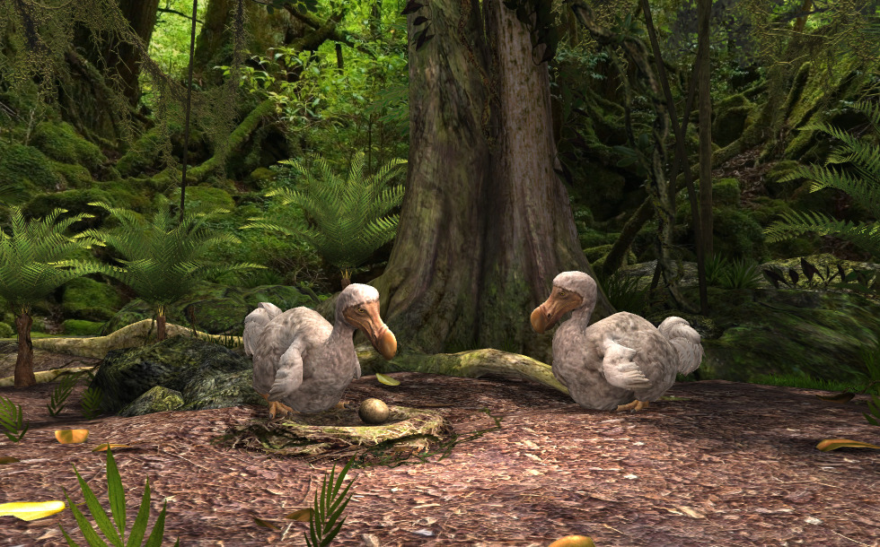 Dodo - 3D-scène - Mozaik Digital Education and Learning