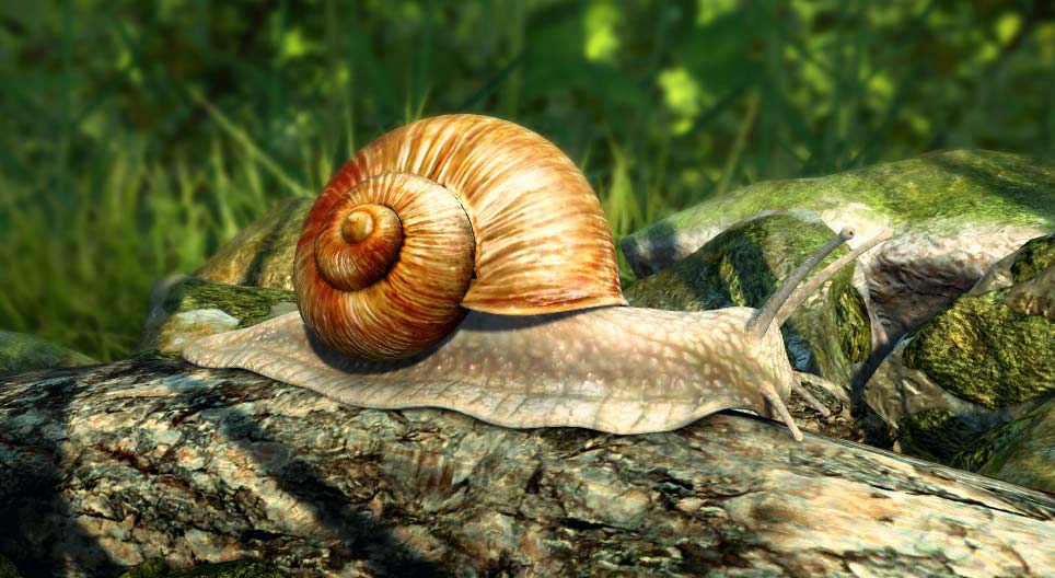 Escargot