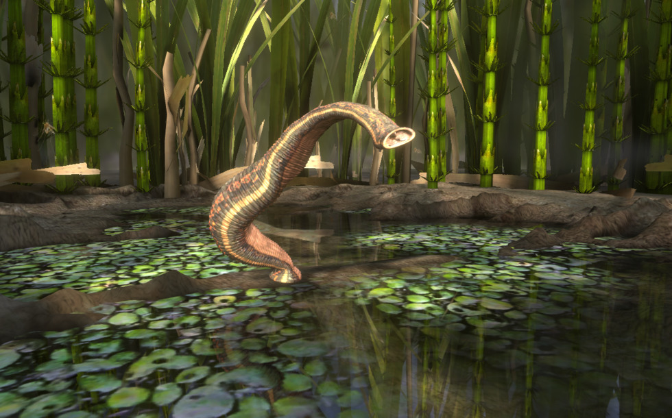 Medicinal leech