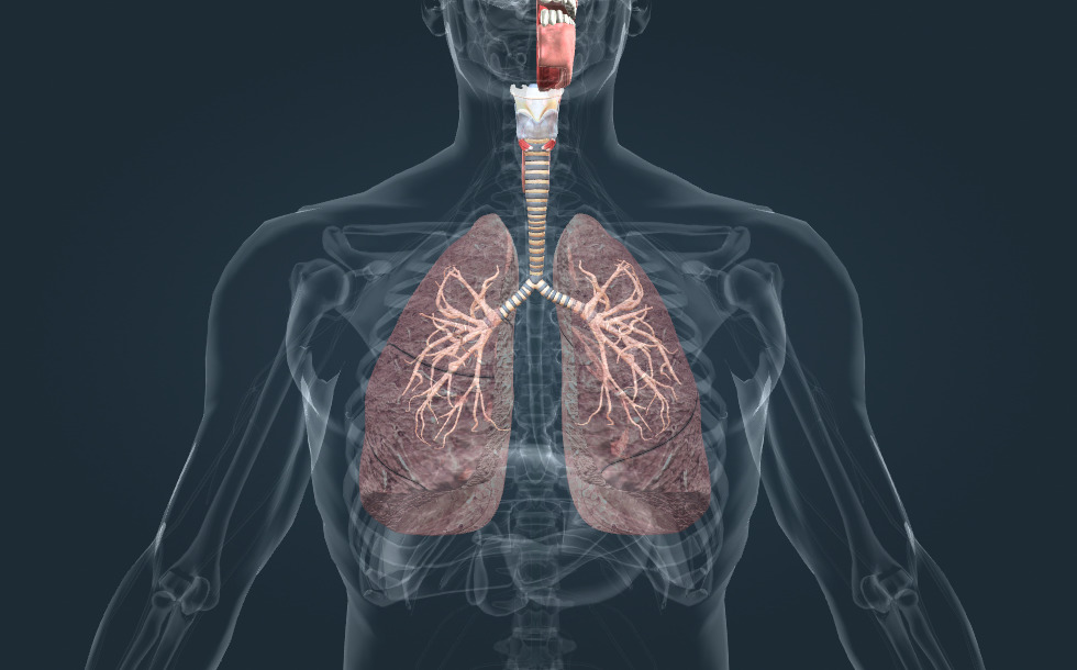 Saci alveolari