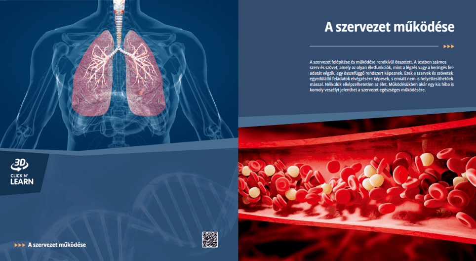 Жизнедеятельность организма - Цифровой урок - Цифровое образование и ...