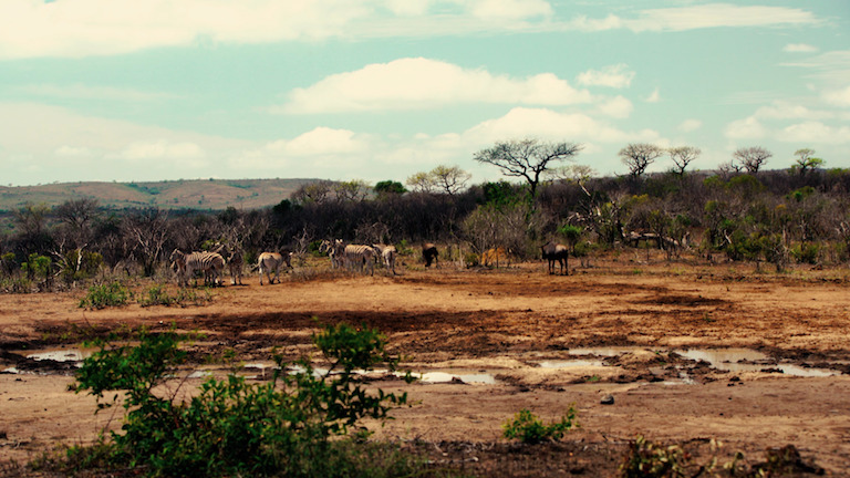 Экстра - Видео - Цифровое образование и обучение Мozaik