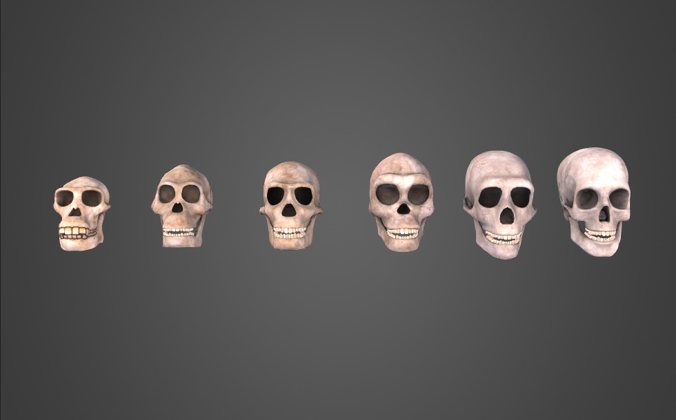 Evolucija človeka - 3D-animacija - Digitalno poučevanje in učenje Mozaik