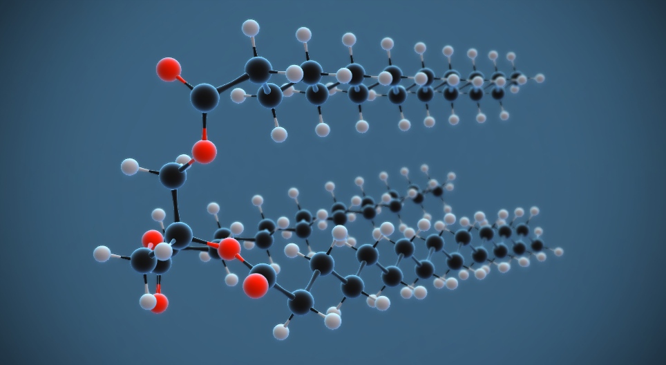 Молекул масти - 3D модел - Mozaik дигитално образовање и учење