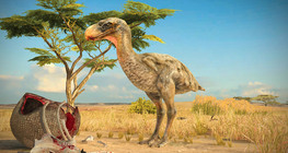 Aves del terror