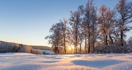 Inverno