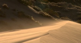 Donde desaparece toda el agua - El desierto