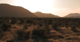 La cuenca del Kalahari